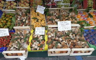 MILANO - 28/09/2017 -  VIA FATEBENEFRATELLI 2 - RISTORANTE BIOESSERI CHEF FEDERICO DELLA VECCHIA -  SPESA MERCATO RIONALE - BANCARELLA FRUTTA VERDURA FUNGHI PORCINI  - FOTO FASANI/NEWPRESS PER LUCIDI TOGNOLATTI GALLIANI