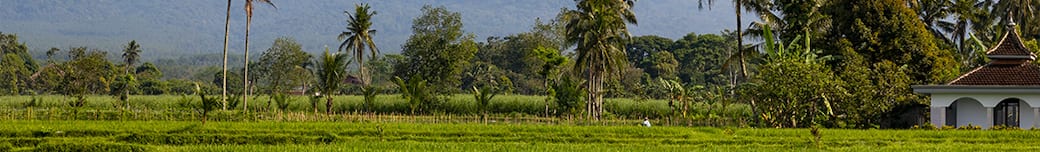 Puntata 2
