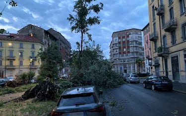 Il violentissimo temporale, accompagnato da scariche continue di fulmini e improvvise folate di vento, simili a downburst, che si è abbattuto su Milano, 25 luglio 2023.
ANSA/Luca Pinardi NPK