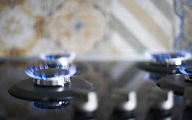 Close-up Natural Gas Stove Burner Appliance with Blue Flame Fire