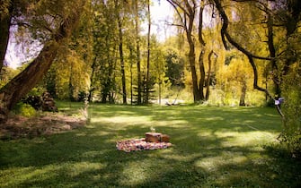 Picnic set up in a sunny and beautiful scenic landscape, with tree and lots of bright, sunny greenery in the Summer.