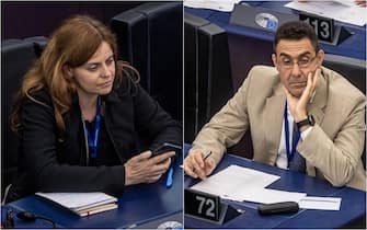 nuovi europarlamentari