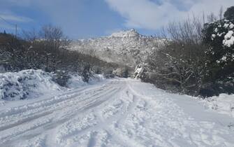 La nevicata abbondante a  Silanus (Nuoro), 21 gennaio 2023.
ANSA