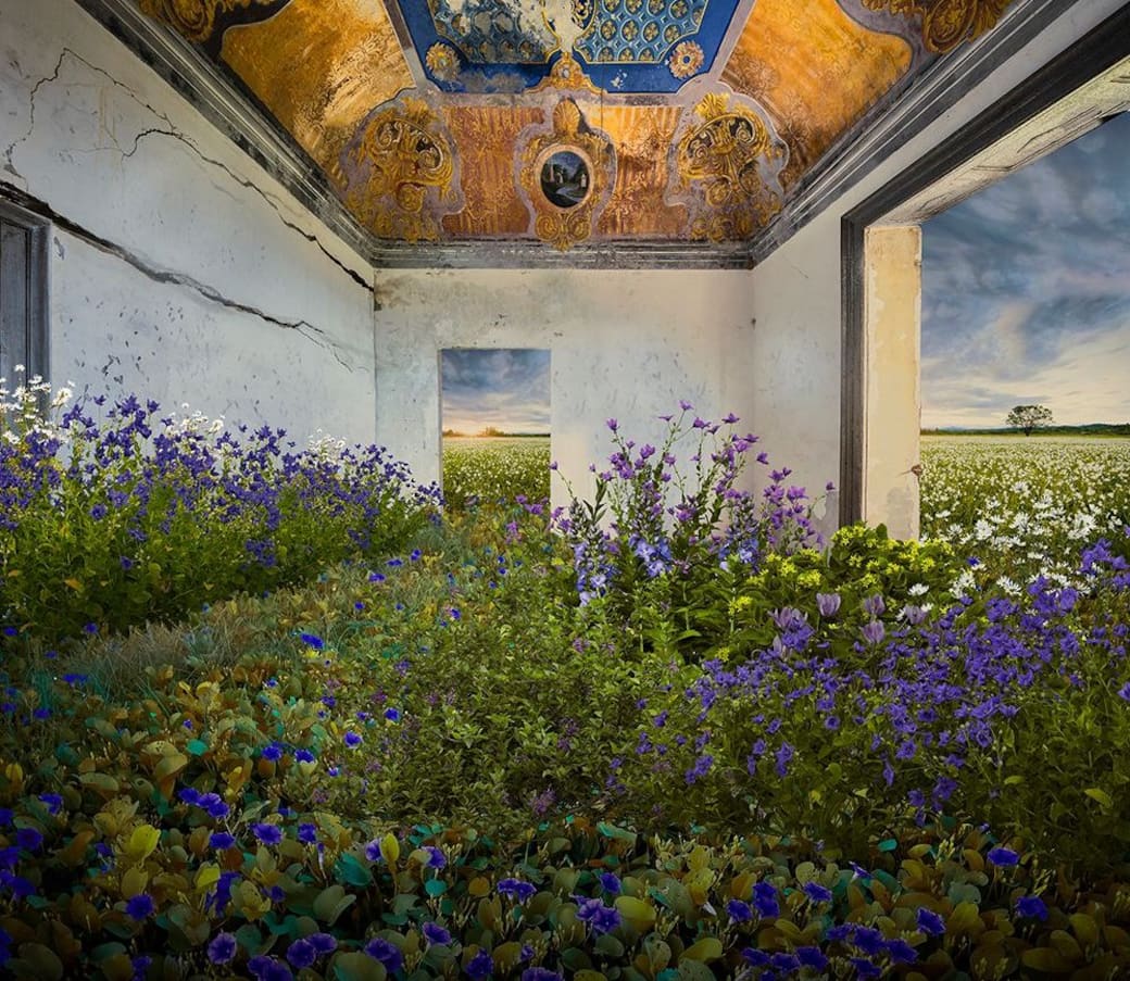 Aldo Salucci, Blue Velvet, 2025, Fotografia digitale su CromaLuxe, ed 1/5, 110 x 110 cm