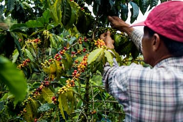 I tesori della Colombia