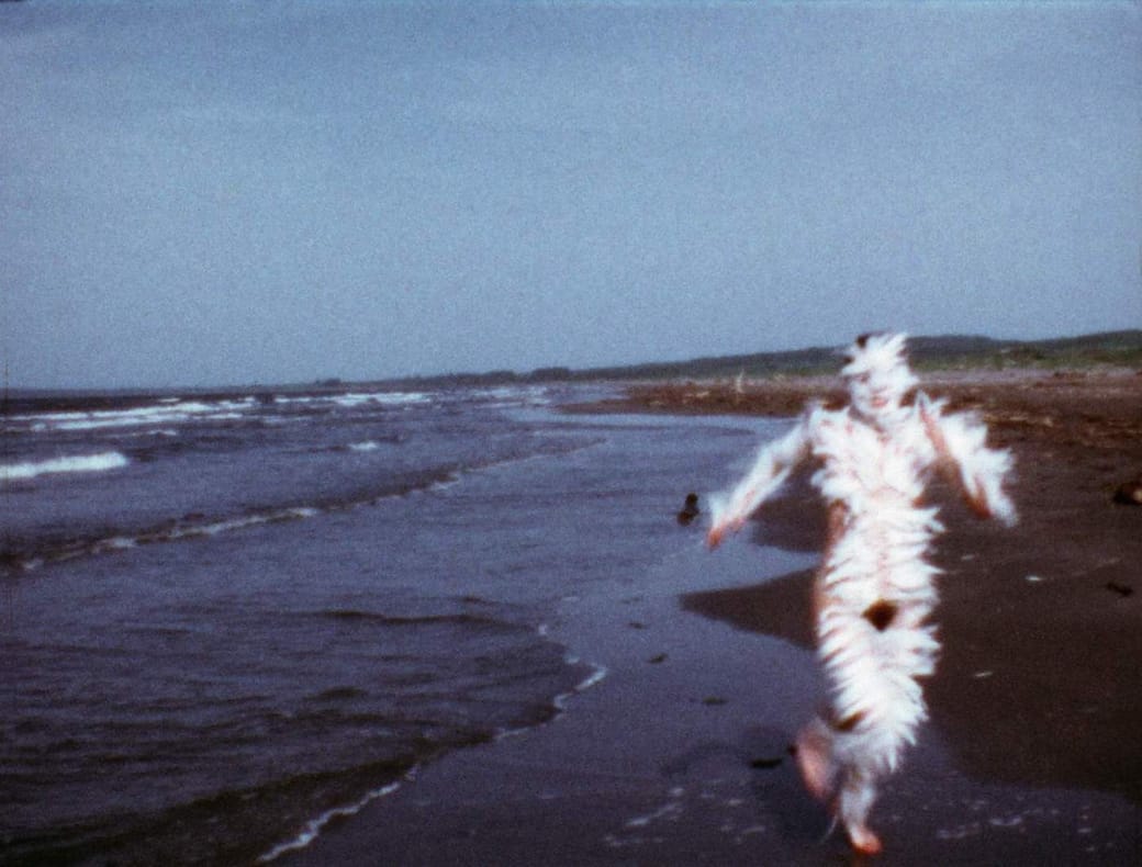 Ana Mendieta, Bird Run 1974. © The Estate of Ana Mendieta Collection, LLC. Licensed by Artist Rights Society (ARS), New York. DACS 2026. Courtesy Marian Goodman Gallery and Alison Jacques, London