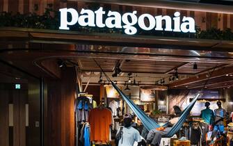 patagonia logo