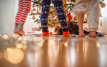 Close-up of three children's legs and a cat while decorating a Christmas tree