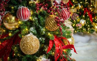 albero natale
