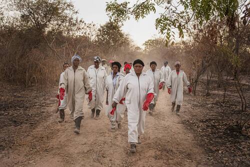 BENTE STACHOWSKE per Nyodeema Foundation Beekeepers of Musolula Gardino Le apicoltrici di Musolula Gardino