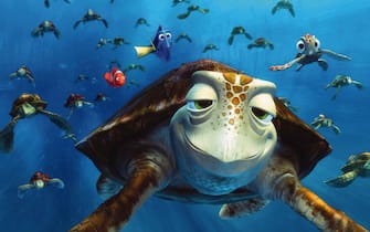 alla ricerca di nemo film