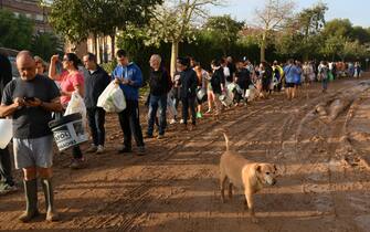 VALENCIA, SPAIN - OCTOBER 31:A dog walks by a line of people waiting to collect water from a broken pipe after flooding hit large parts of the country on October 31, 2024 in the Paiporta municipality of Valencia, Spain. By Thursday, Spanish authorities confirmed that at least 95 people had died, mostly in the Valencia region, amid the flooding that swept eastern and southern parts of the country starting on Tuesday. The intense rainfall event is known as a "cold drop" or DANA weather system. (Photo by David Ramos/Getty Images)
