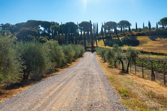 Landscape along Via Francigena, Tuscany