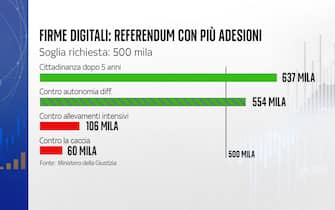 I referendum che hanno superato il quorum I referendum che hanno superato il quorum