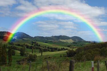 Green landscape scenery of New Zealand, North Island  with digitally-added 180 degree rainbow.