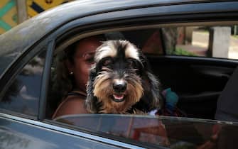 Reyneri Huete and her dog named Bruno travel by taxi to the Magdalena church to attend a mass in honor of Saint Lazarus, considered the saint of dogs, at the Magdalena church in the indigenous community of Monimbo in Masaya, Nicaragua, on March 26, 2023. (Photo by OSWALDO RIVAS / AFP) (Photo by OSWALDO RIVAS/AFP via Getty Images)
