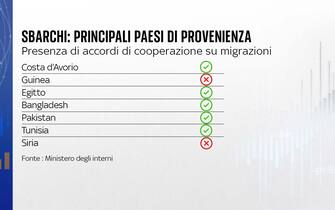 grafica