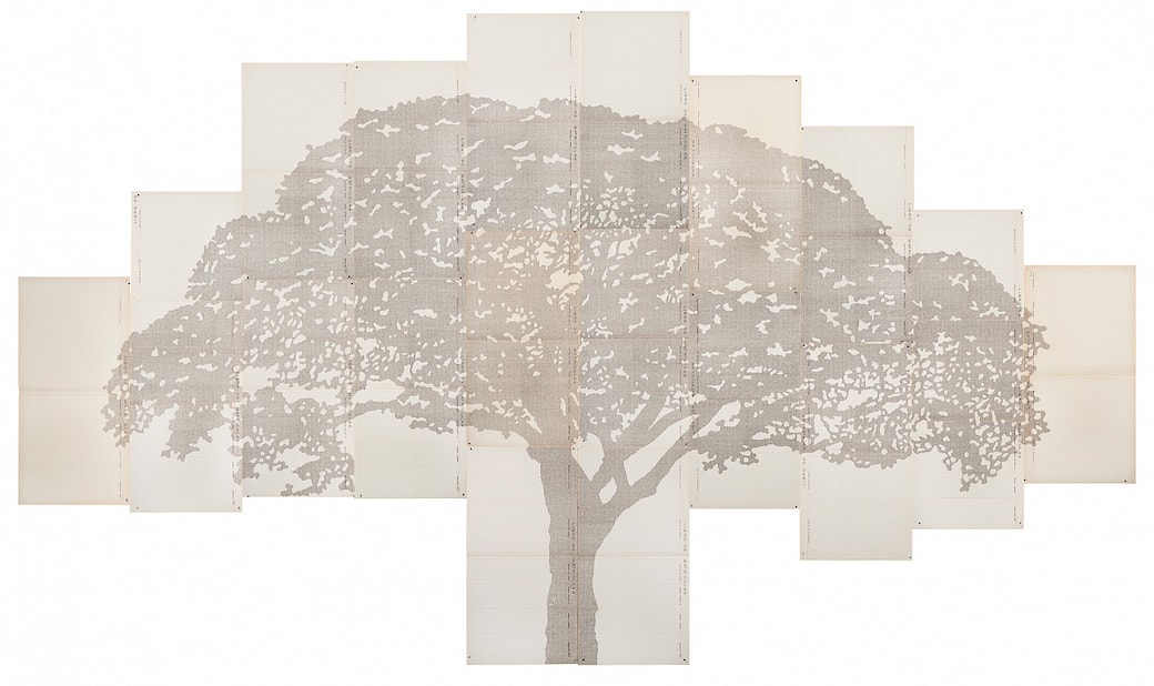 Johanna Calle: Perimetros (Ceiba), 2013/14, Typescript on old notarial paper (The ALBERTINA Museum, Vienna | Courtesy Galerie Krinzinger and Johanna Calle.) Photo: J.P. Gutierrez. Copyright Archivos Perez & Calle