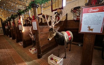 Un momento dell'inaugurazione della 4/a edizione della kermesse "Natale è Reale" con l'apertura straordinaria del mercatino presso Palazzina di Caccia di Stupinigi, Torino, 28 novembre 2019. ANSA/TINO ROMANO