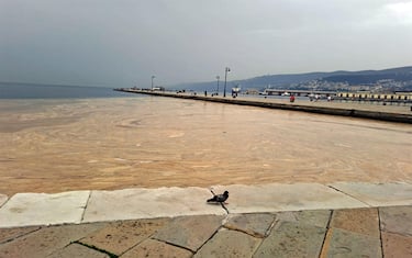 L'allarme dei pescatori