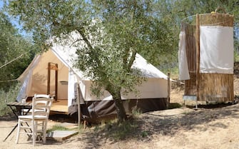 THE LAZY OLIVE GLAMPING