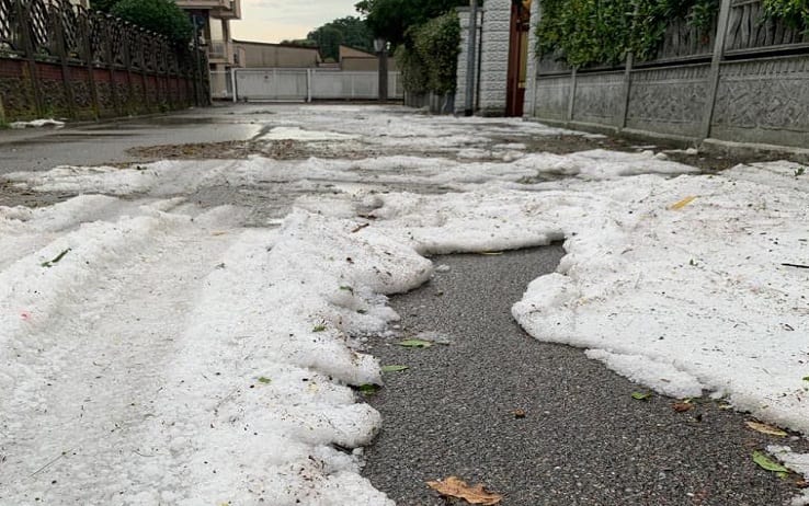 Maltempo, Bomba D'acqua A Milano: Allagamenti E Alberi Caduti | Sky TG24