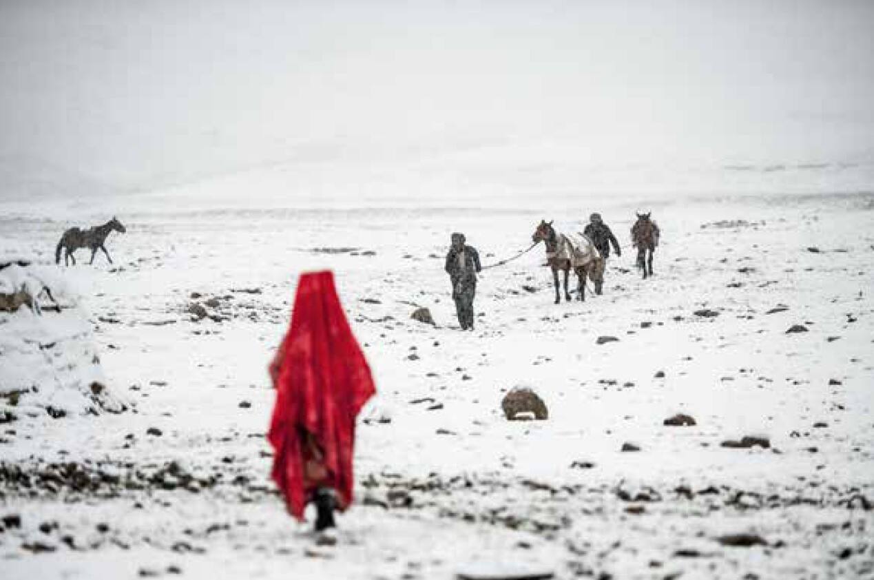 SILVIA ALESSI, “Il Piccolo Pamir Afghano”