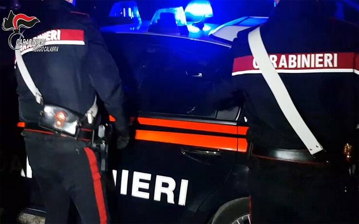 Dda Catanzaro, Blitz Contro Cosche Di 'ndrangheta: 59 Arresti | Sky TG24