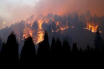 USA CALIFORNIA FIRE