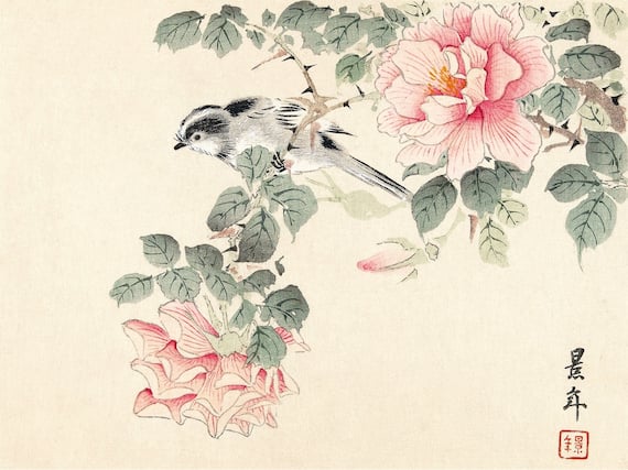 Credits 2026 L’ippocampo, per l’edizione italiana