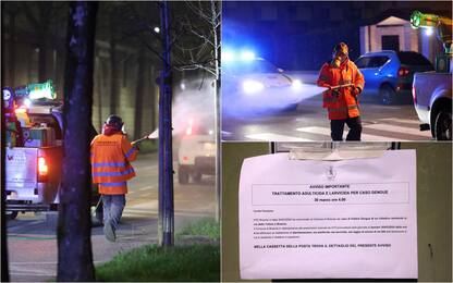 Brescia, sospetto caso dengue: nella notte effettuata disinfestazione