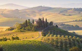 Val d'Orcia, Tuscany, Italy. Springtime, Path, meadow fields, rolling hills and cypress trees