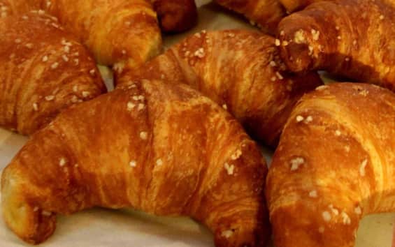 treviso 10 centesimi in pi249 per brioche tagliata a met224 polemica in pasticceria