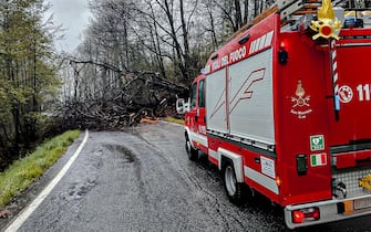 vigili del fuoco