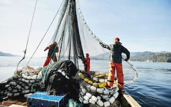 Crew members of purse seiner hauling in net while fishing for salmon