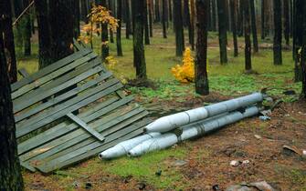 Una foresta in Ucraina