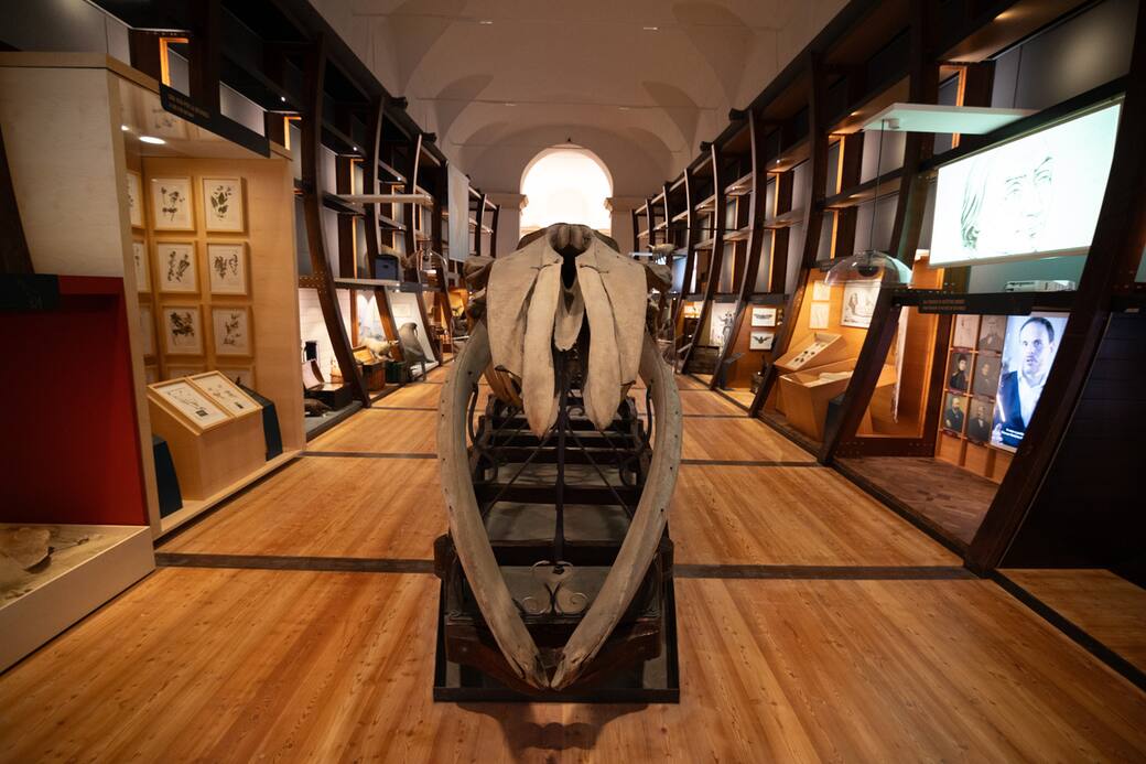 Museo_Scienze_-_Simone_Benso_PH-13.jpg