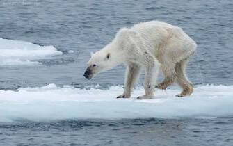 Cambiamento Climatico