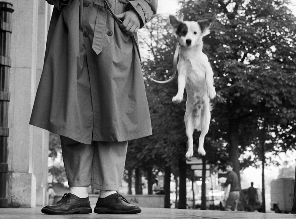 France, Paris, 1989 (c) Elliott Erwitt