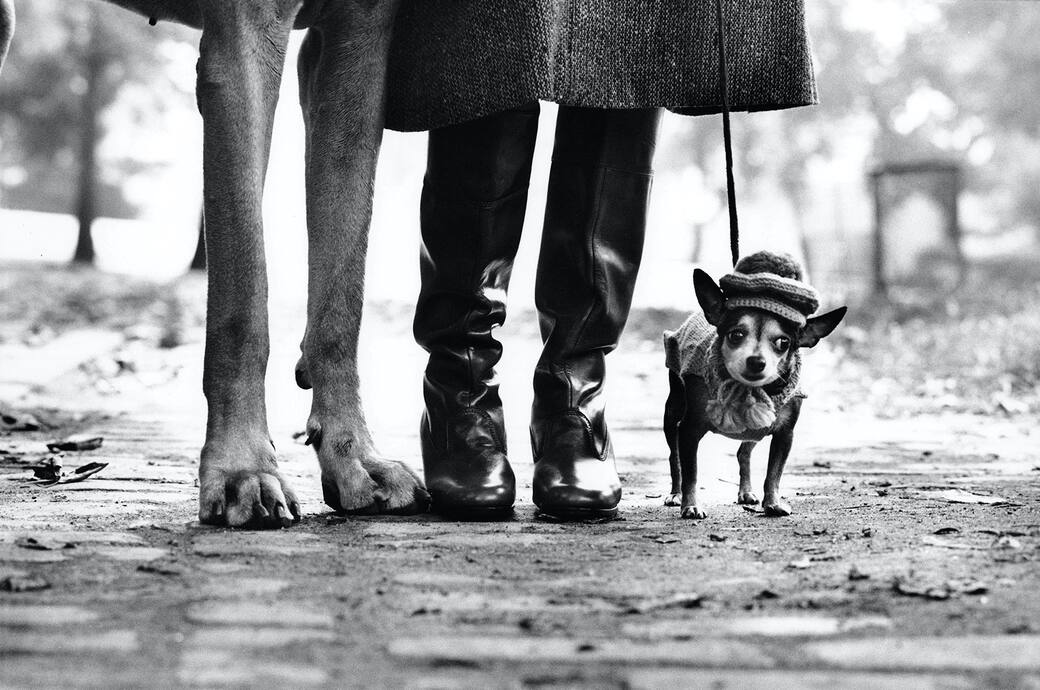 New_York_1974_Felix_Gladys_and_Rover-Elliott_ERWITT-b.jpeg