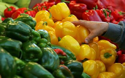 La dieta mediterranea farebbe bene alle ossa delle donne in menopausa