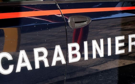 Livorno, 27enne trovato morto in un bosco: i familiari lo cercavano da ieri Livorno, 27enne trovato morto in un bosco: i familiari lo cercavano da ieri