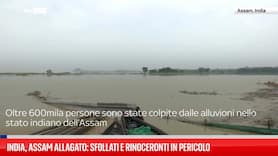 India, Assam allagato: sfollati e rinoceronti in pericolo