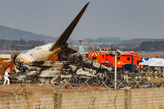 Sud Corea, rapporto su disastro aereo di Muan: piume di uccello in ...