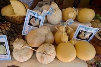 TURIN, ITALY - SEPTEMBER 22: General view of Caciocavallo Cheese inside of Terra Madre - Salone Del Gusto 2022 on September 22, 2022 in Turin, Italy. (Photo by Stefano Guidi/Getty Images)