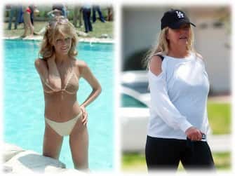 Heather Locklear