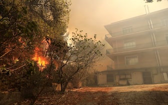 epa11546765 Flames approach houses during a wildfire in Patima Halandri, a suburb of Athens, Greece, 12 August 2024. The wildfire that broke out in Varnavas on 11 August afternoon continued to rage in eastern Attica on 12 August, fanned and spread to a front extending more than 20 kilometers. According to the fire department, the fire-fighting effort is extremely difficult as the wind keeps changing direction, while the three main fronts of concern are in Grammatiko, Penteli and the Anatoli settlement in Nea Makri. A total of 685 firefighters, 27 of forest commando units, 190 fire engines, assisted by 17 water-dropping helicopters and 16 firefighting aircraft and volunteers with the contribution of all the civil protection entities are battling the blaze.  EPA/GEORGE VITSARAS