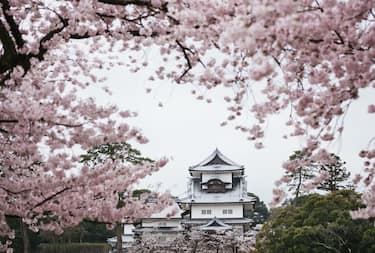 Da Kanazawa all'isola di Hokkaido