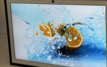 Disponibilità e prezzi