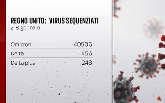 Grafiche coronavirus: I virus sequenziati nel Regno Unito